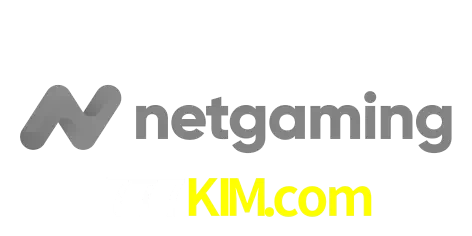 NetGaming